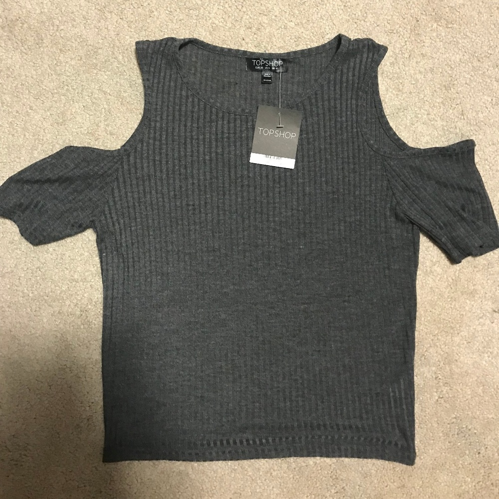 Topshop Gray Crop Top